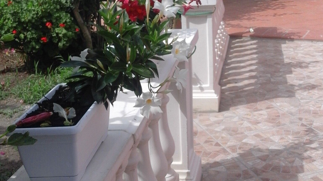 Photo of Outdoor in Ventotene