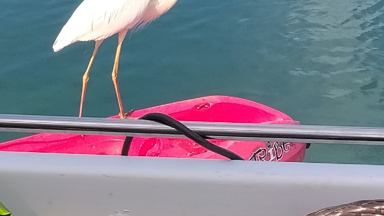 Photo of Others in Key West