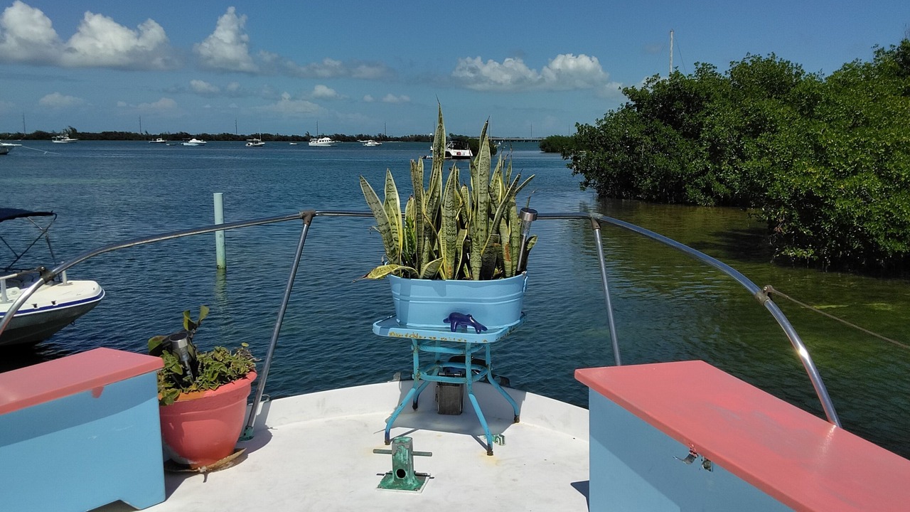 Photo of Outdoor in Key West