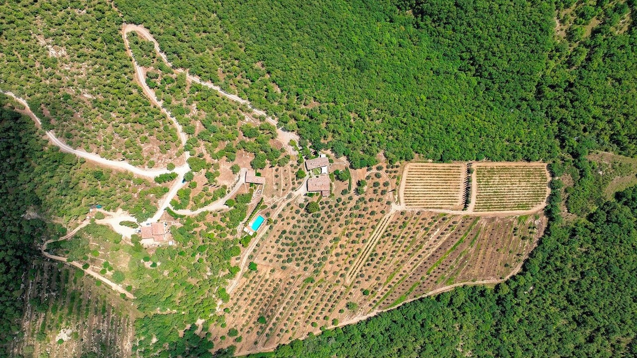 Photo of Outdoor in Radda in Chianti