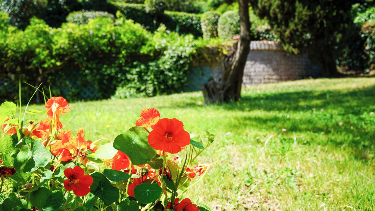 Photo of Outdoor in Lake Bracciano
