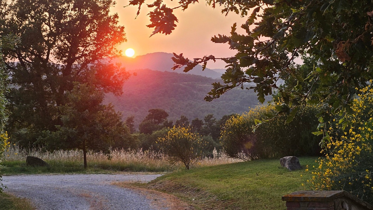 Photo of Others in Torrita di Siena