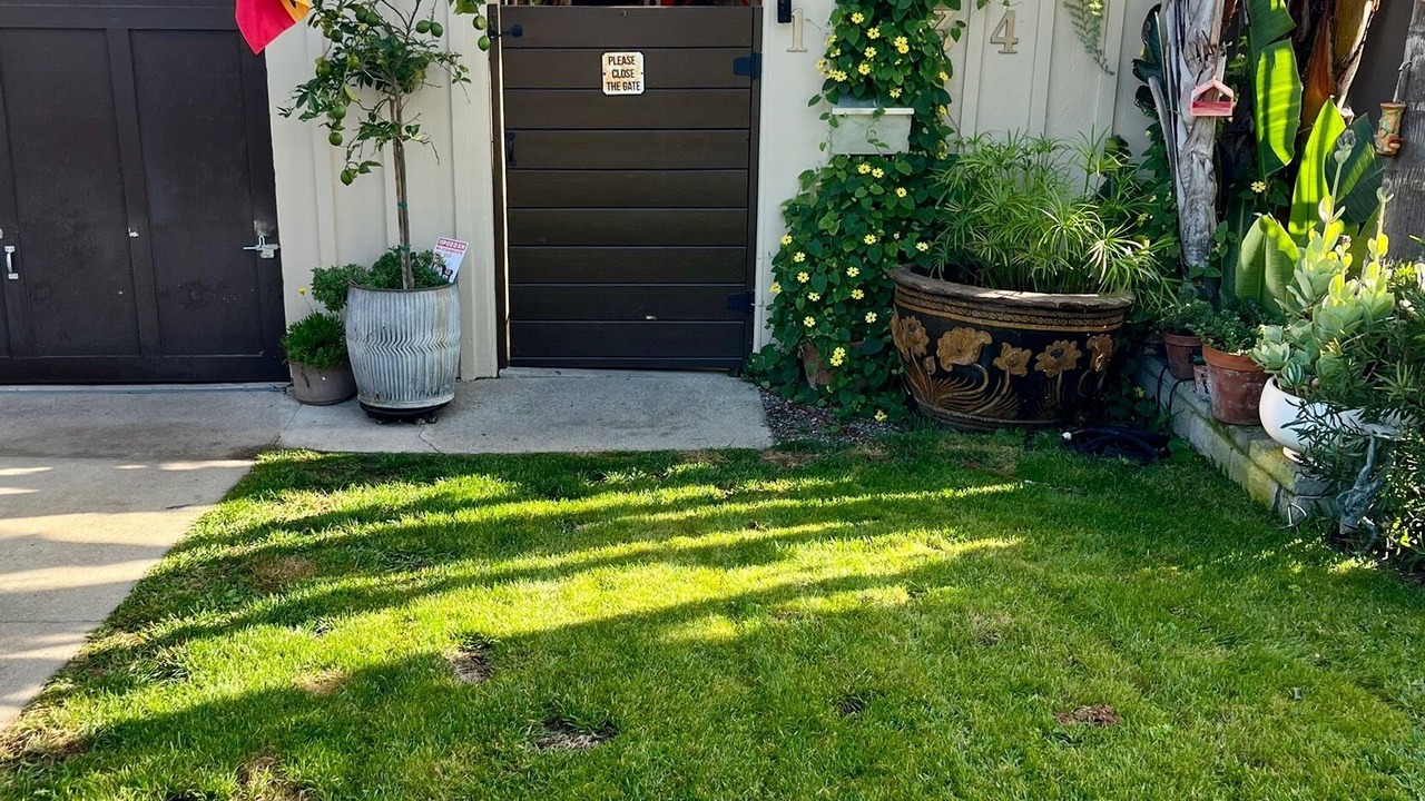 Photo of Outdoor in North Redondo