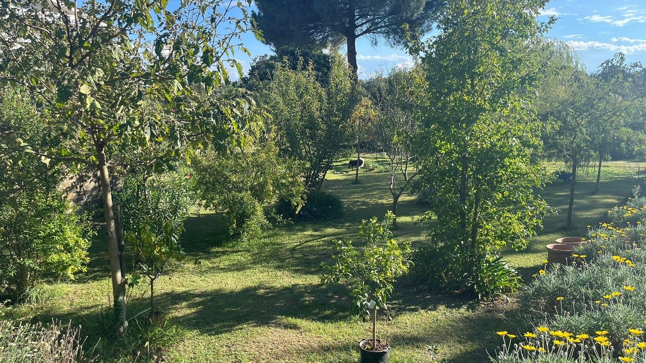 Photo of Outdoor in Fabrica di Roma