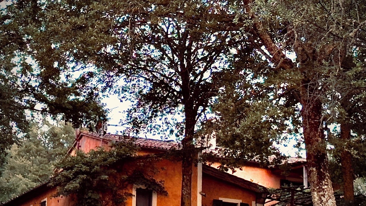 Photo of Outdoor in San Casciano dei Bagni
