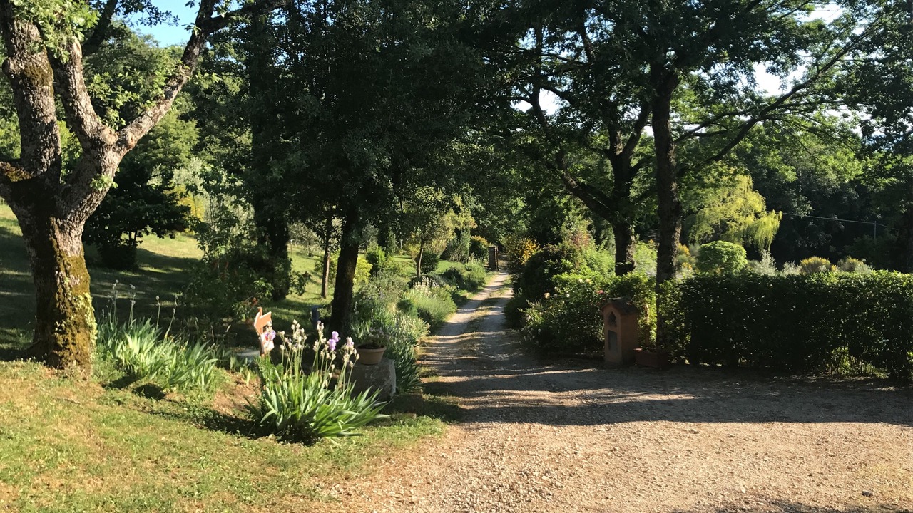 Photo of Outdoor in San Casciano dei Bagni