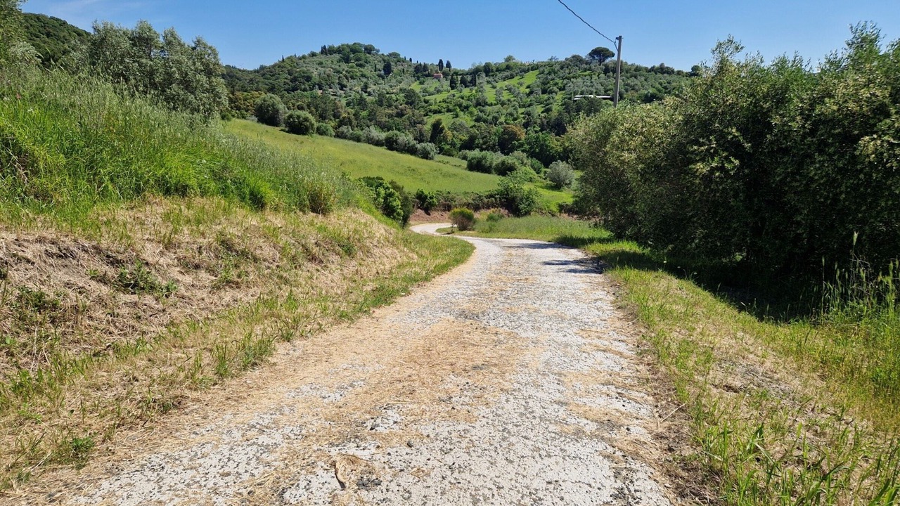 Photo of Others in Riparbella