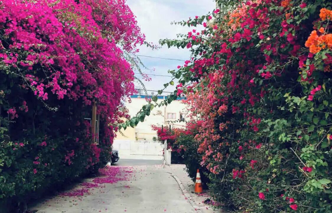 Photo of Outdoor in Pico-Union