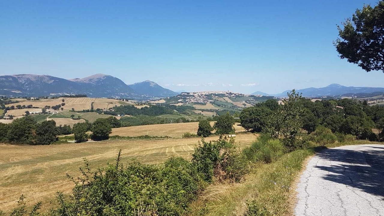 Photo of Others in Camerino