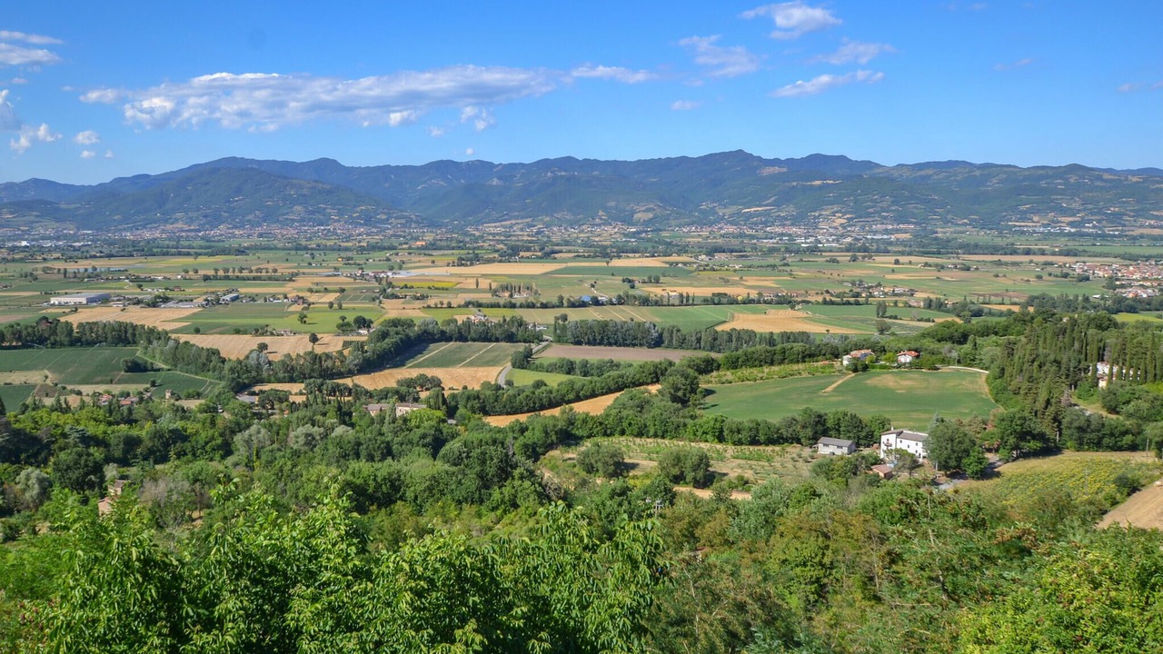 Photo of Others in Citerna