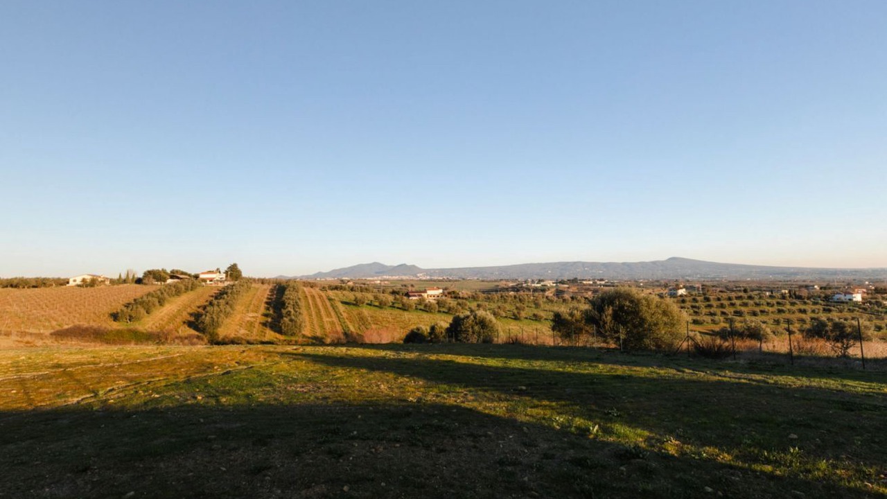 Photo of Others in Viterbo