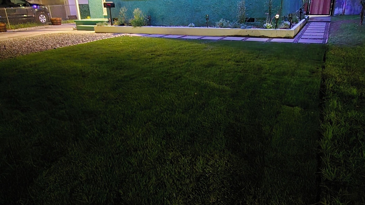 Photo of Outdoor in Mount Wilson