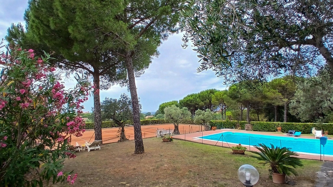 Photo of Outdoor in Montescudaio