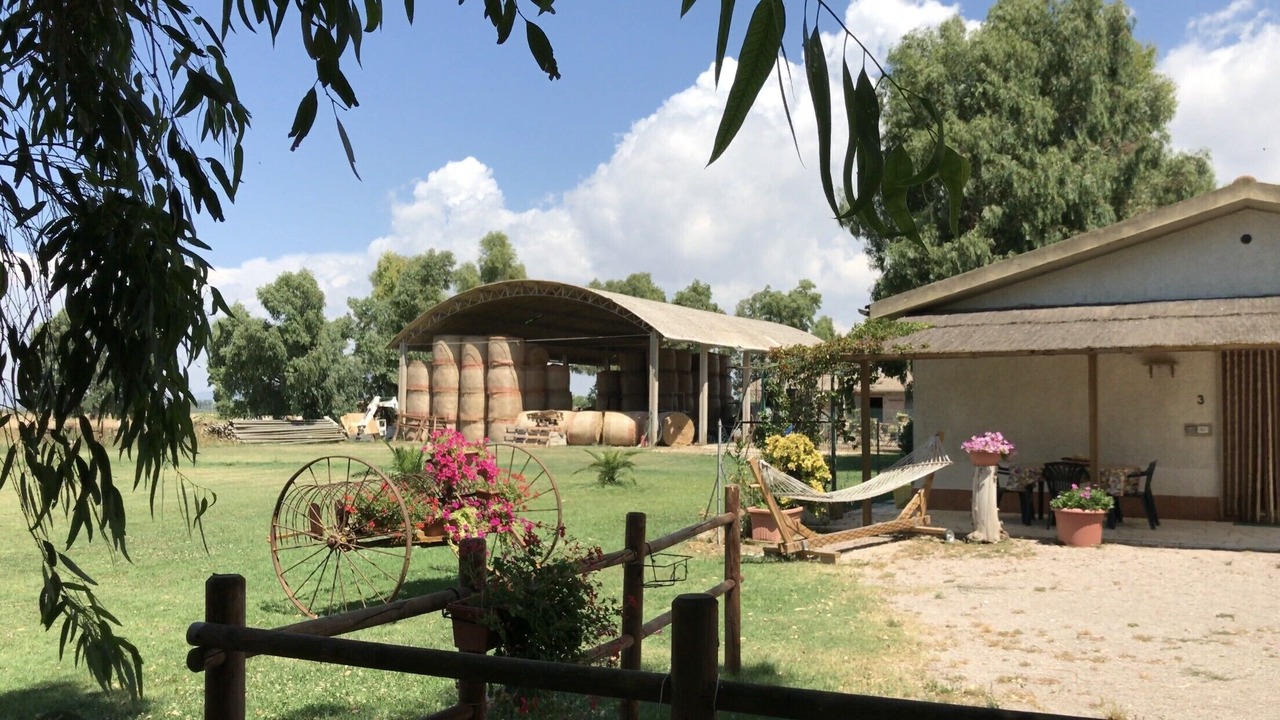 Photo of Outdoor in Grosseto