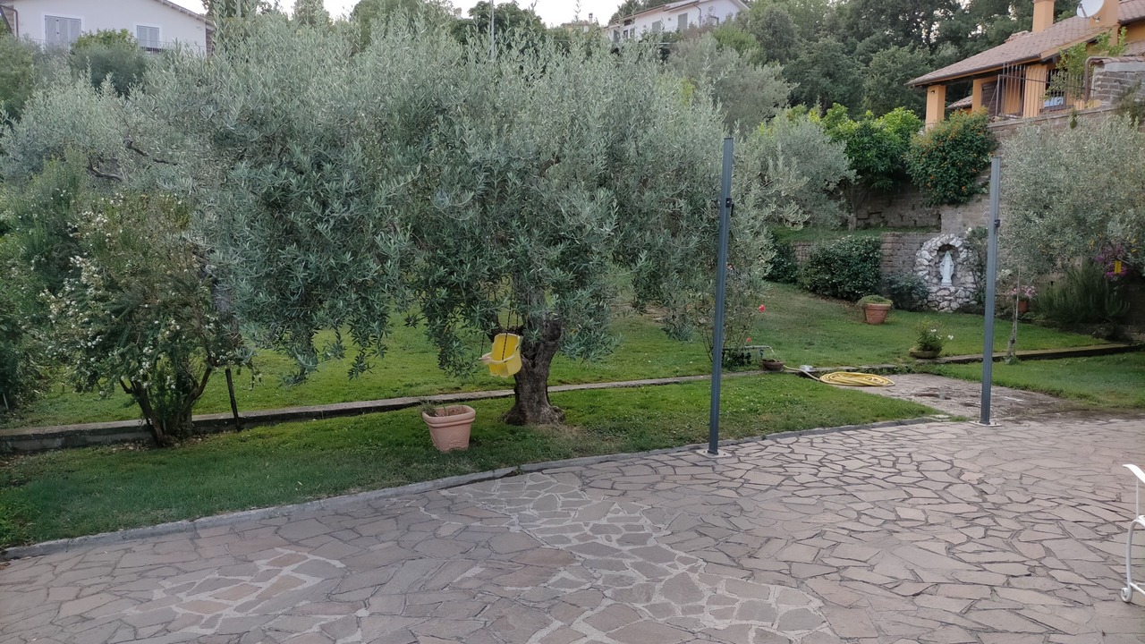 Photo of Outdoor in Lake Bracciano