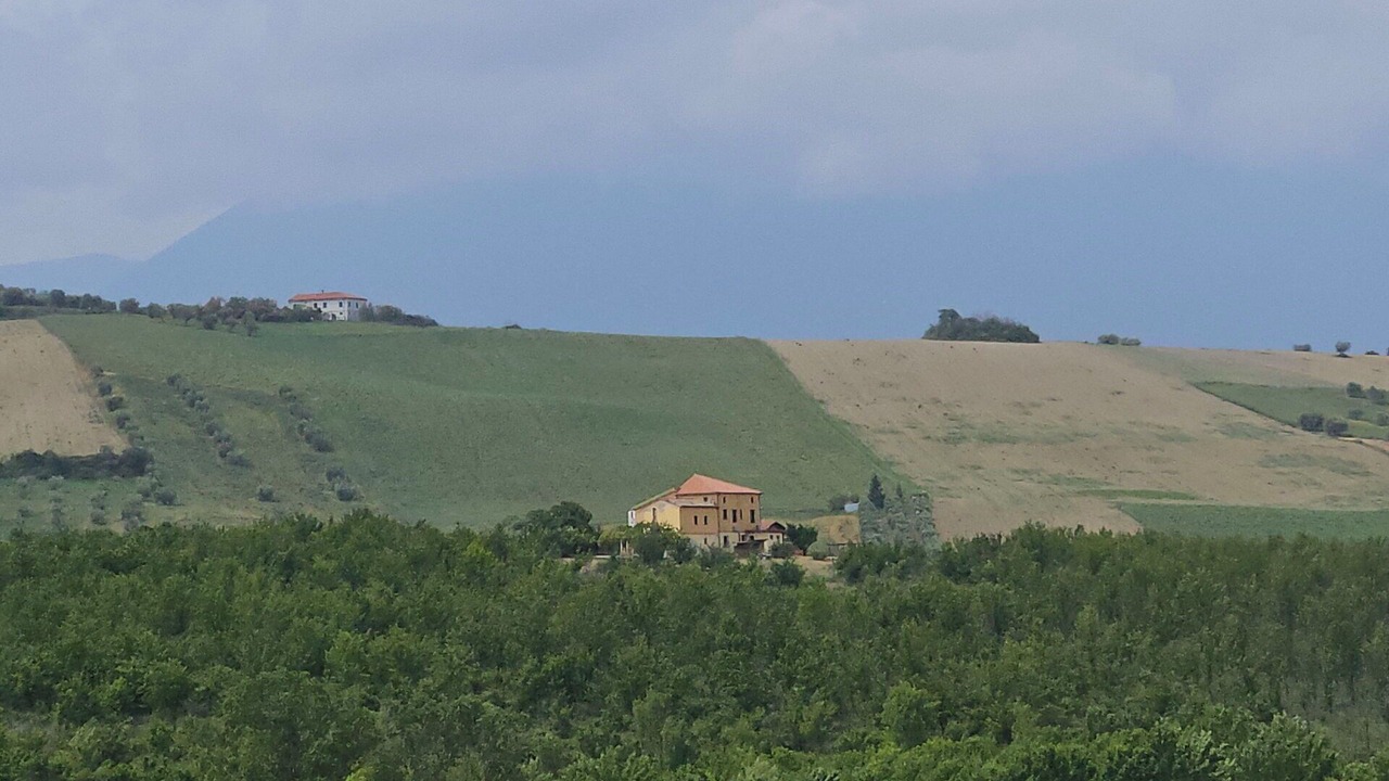 Photo of Others in Campli