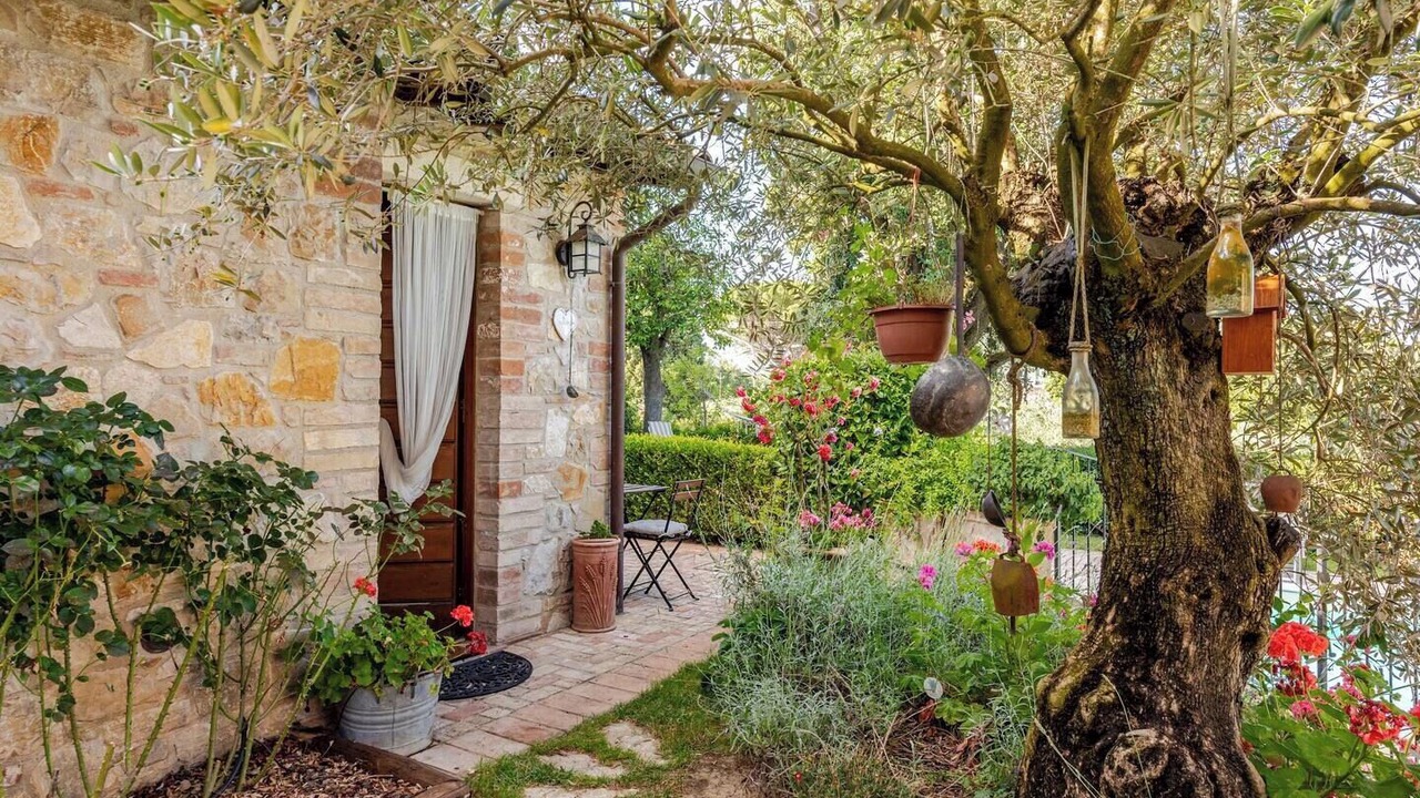 Photo of Patio Balcony in Ilci