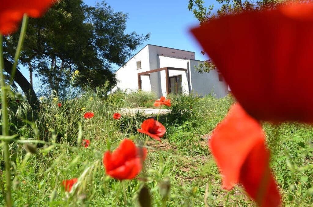 Photo of Outdoor in Piombino