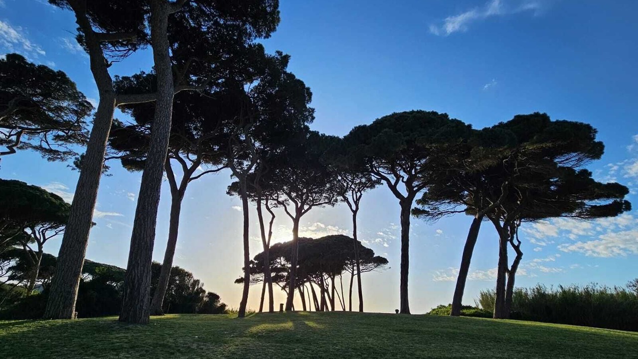 Photo of Others in Piombino