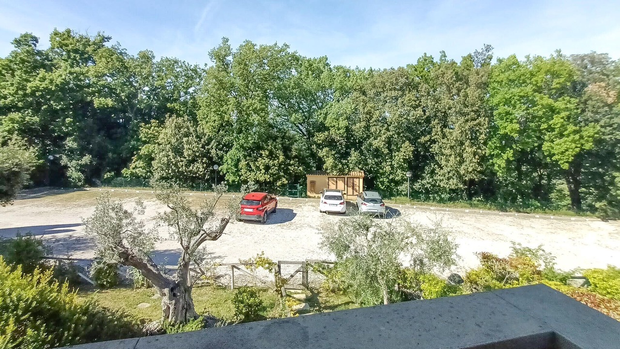 Photo of Others in Montescudaio