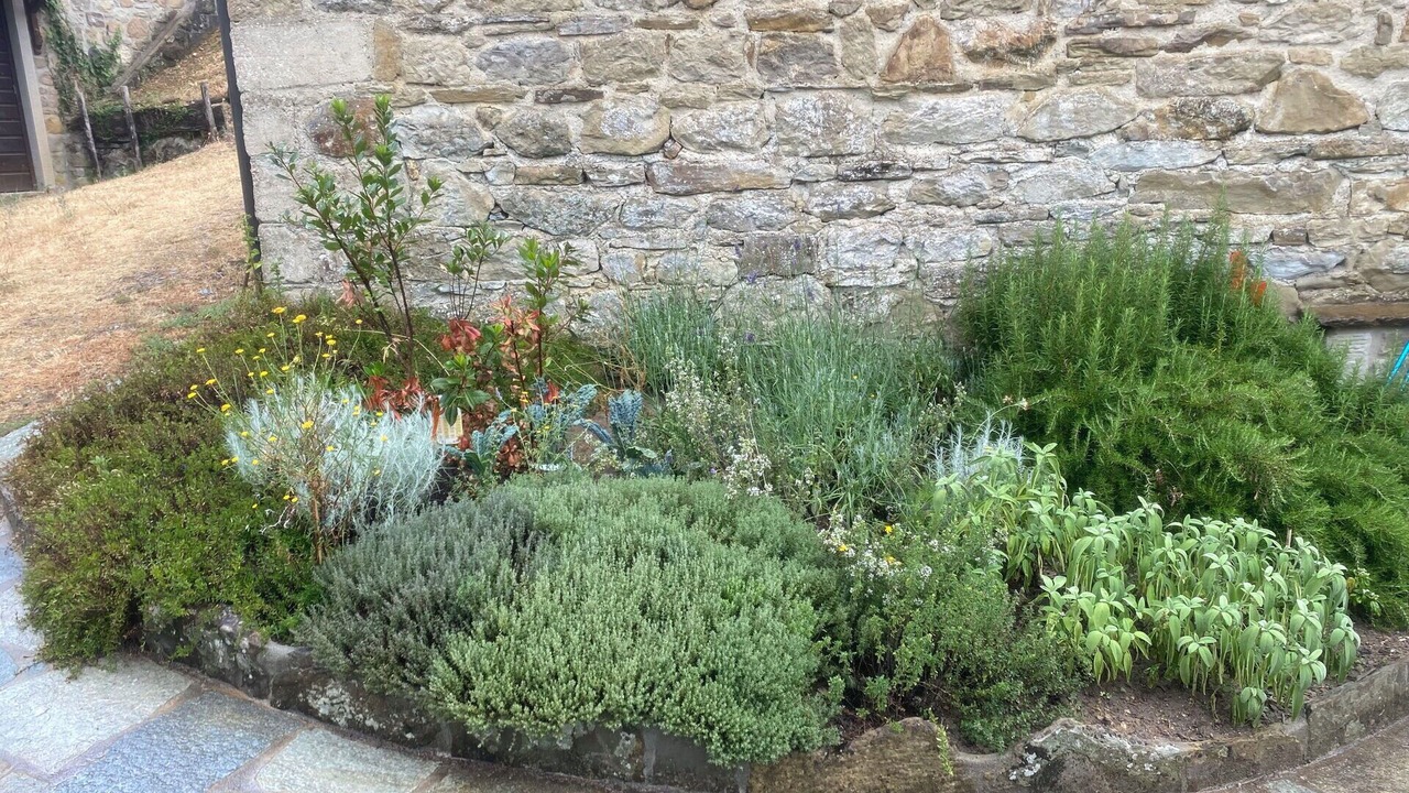 Photo of Outdoor in Talla