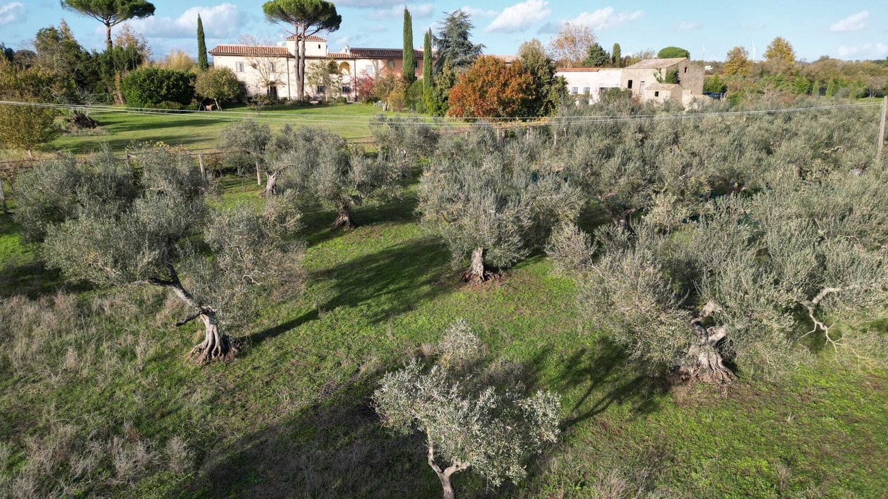 Photo of Outdoor in Farnese