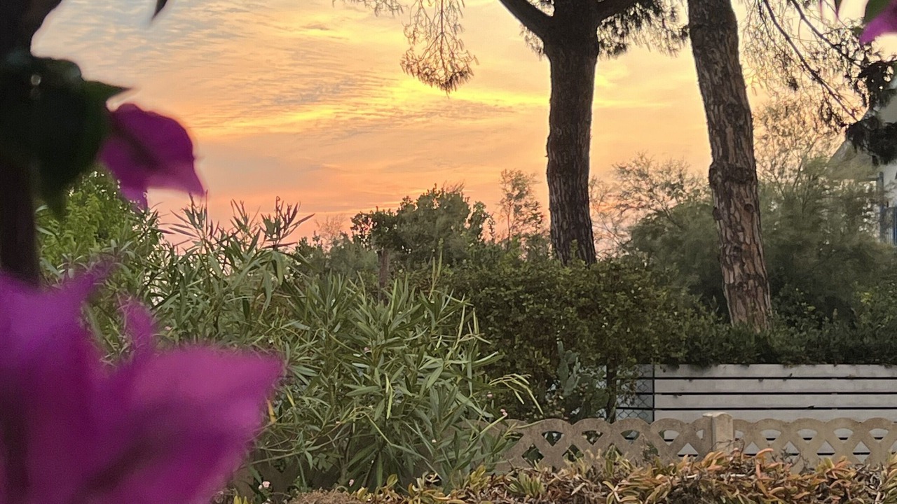 Photo of Outdoor in Latina Lido