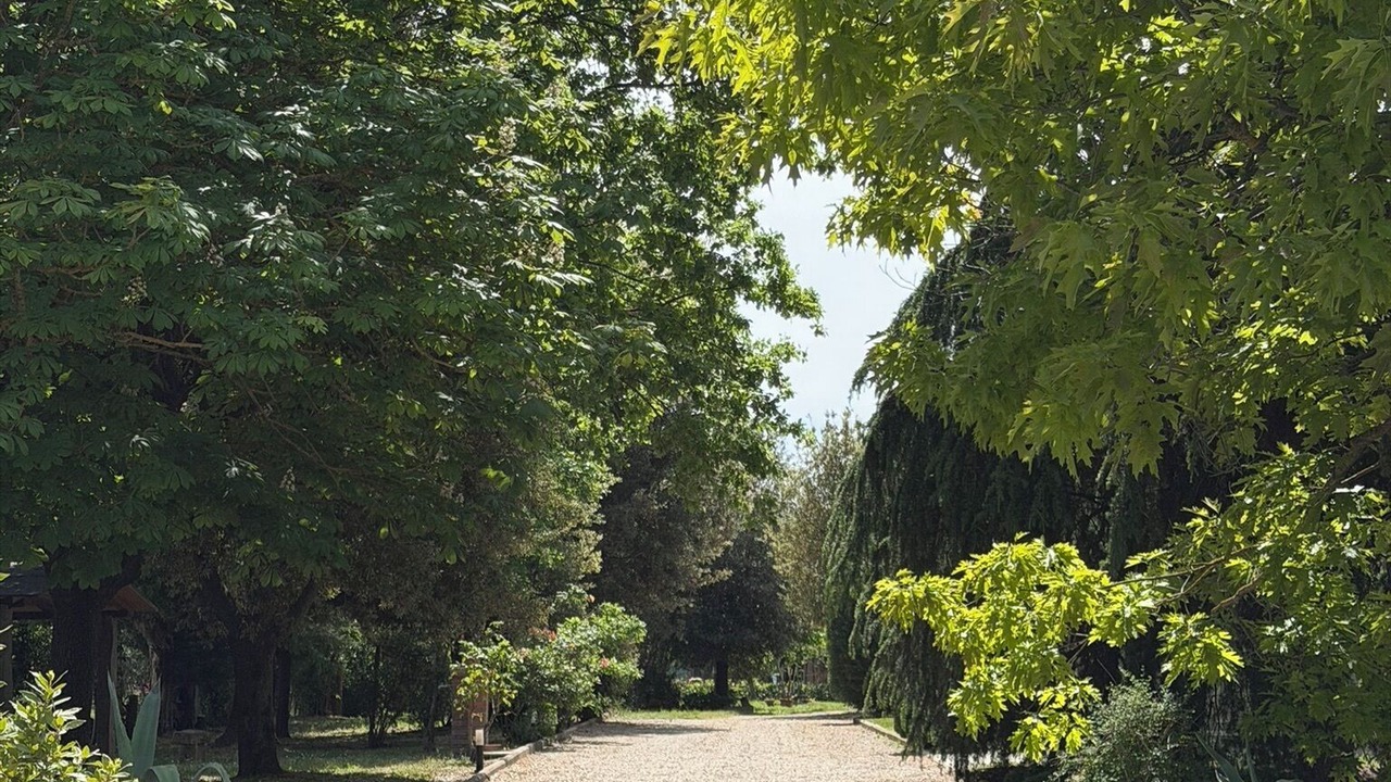 Photo of Others in Camucia