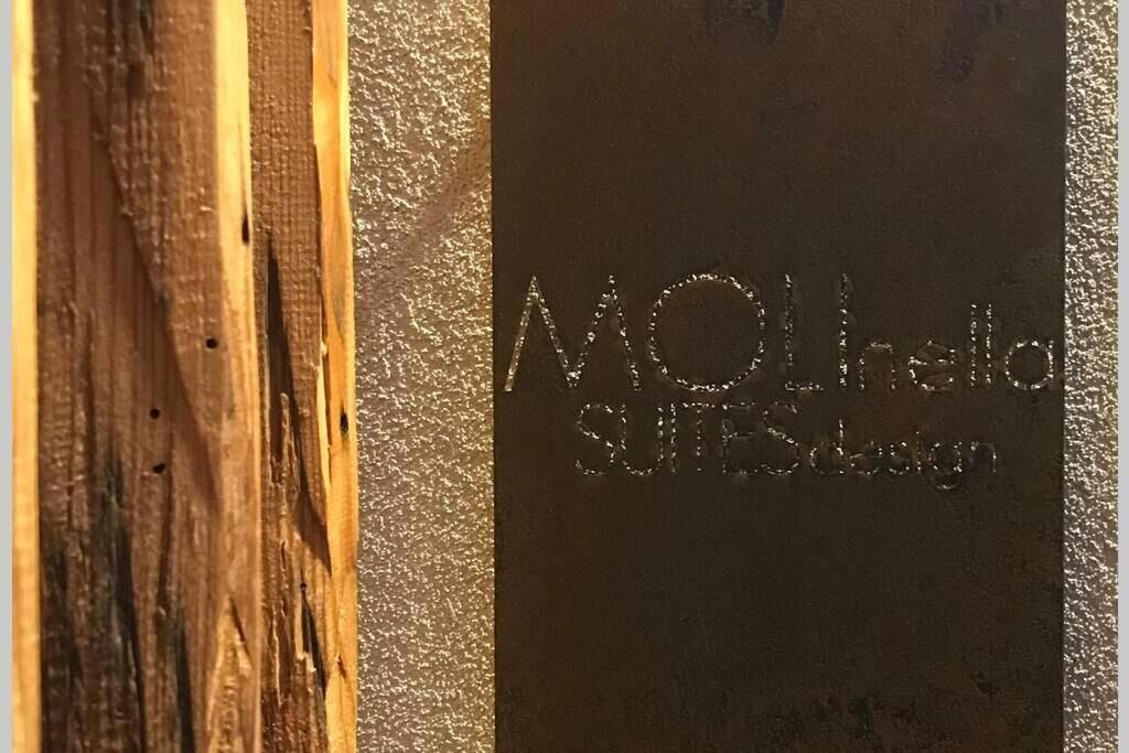 Photo of Others in Molinella