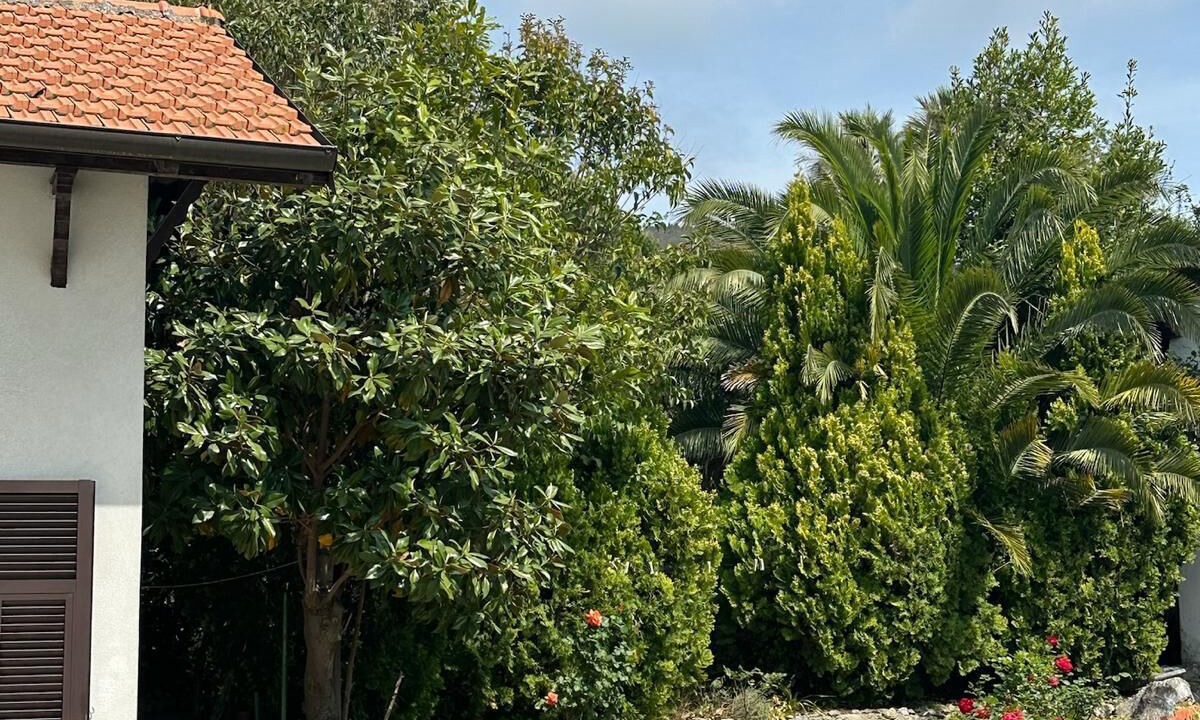 Photo of Outdoor in Varazze