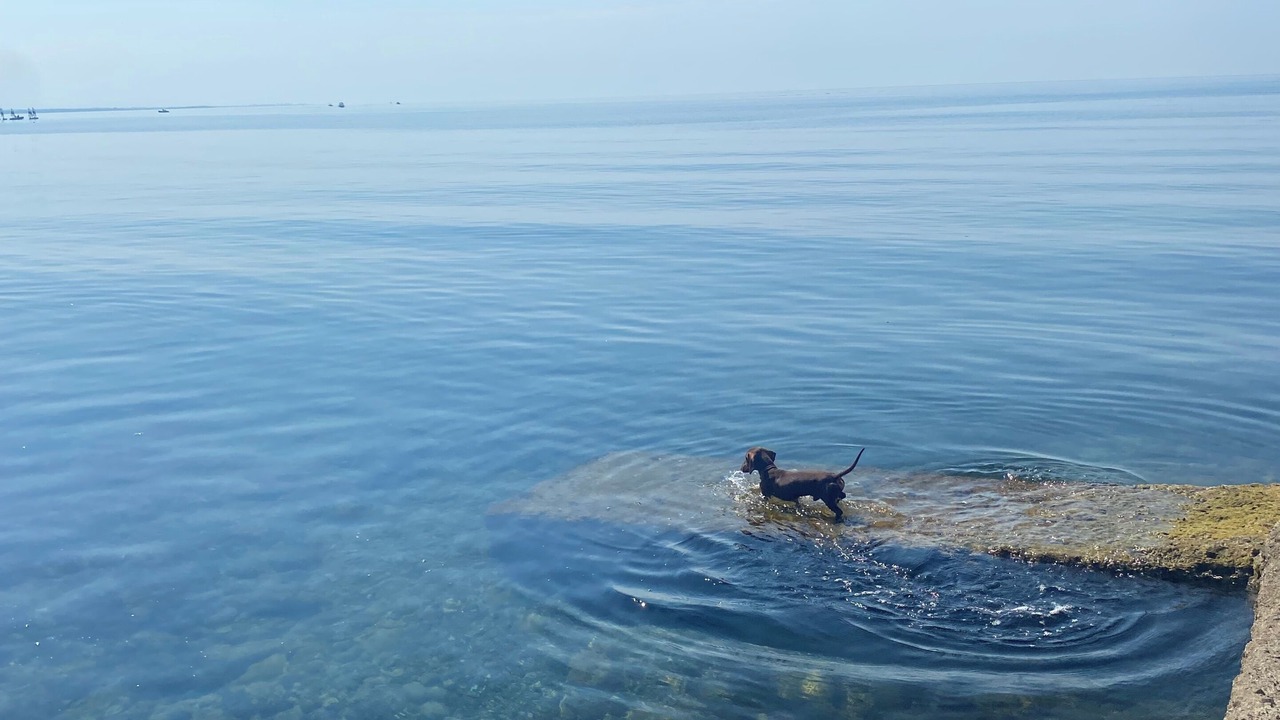 Photo of Others in Santa Marinella