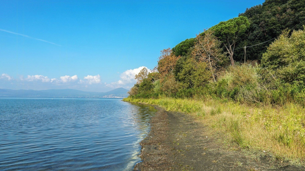 Photo of Others in Lake Bracciano