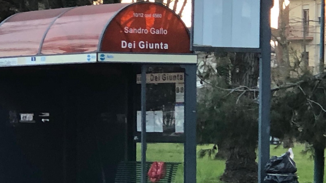 Photo of Others in Santa Maria in Stelle