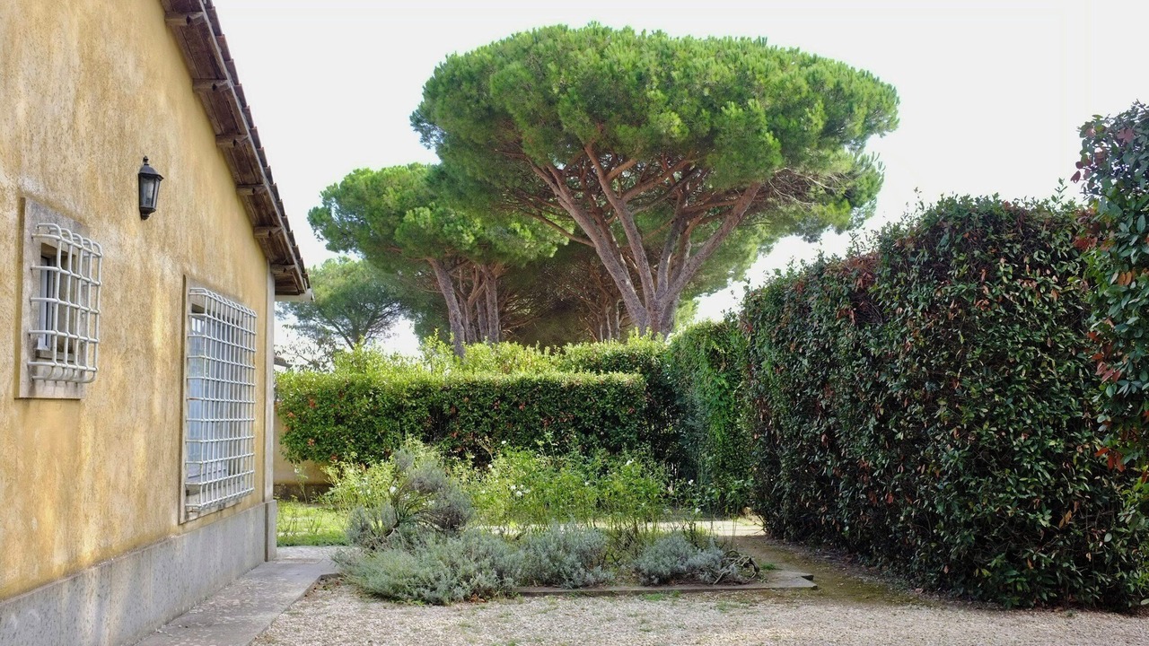 Photo of Outdoor in Poggio