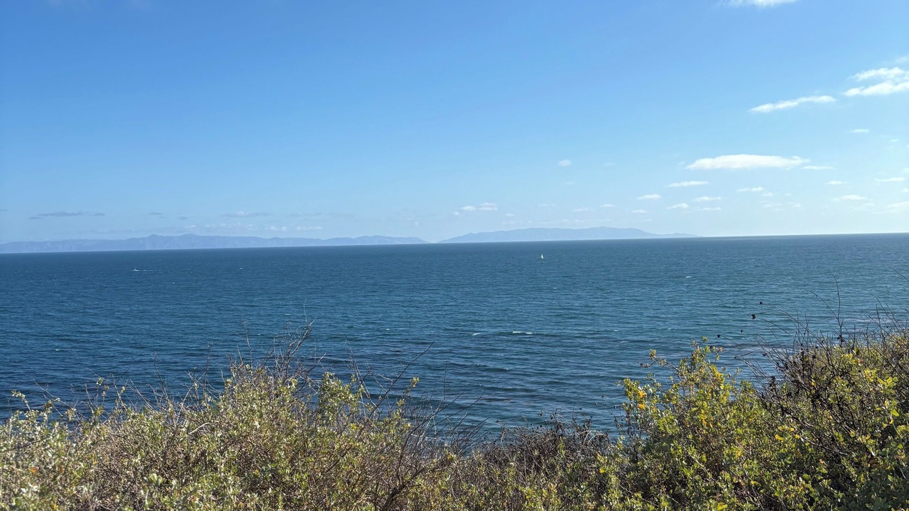 Photo of Others in Coastal San Pedro