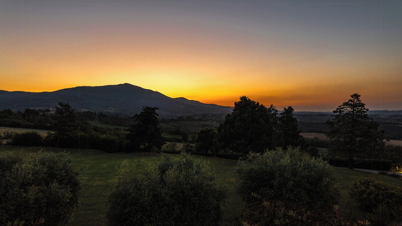 Photo of Others in Cetona