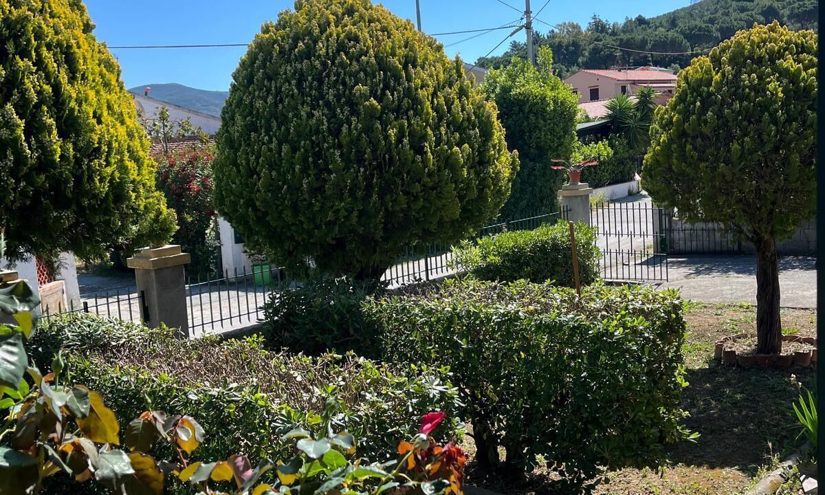 Photo of Outdoor in Marina di Campo