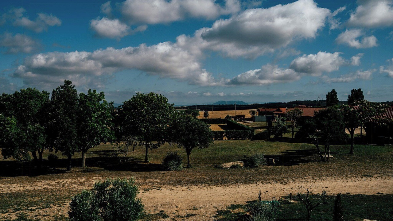 Photo of Others in Tarquinia