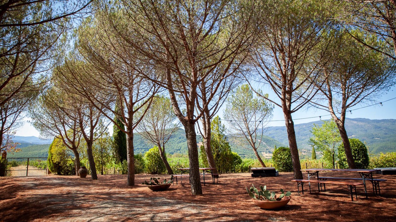 Photo of Outdoor in Arezzo