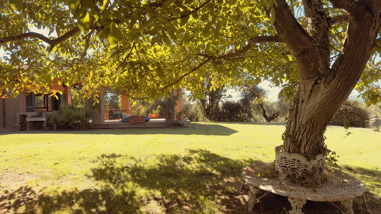 Photo of Outdoor in Sutri