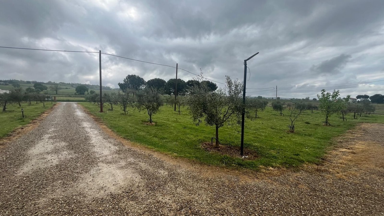 Photo of Others in Oriolo dei Fichi
