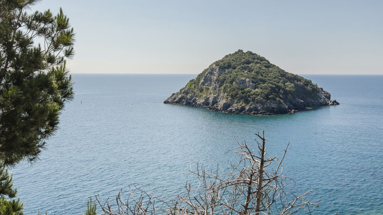 Photo of Others in Savona
