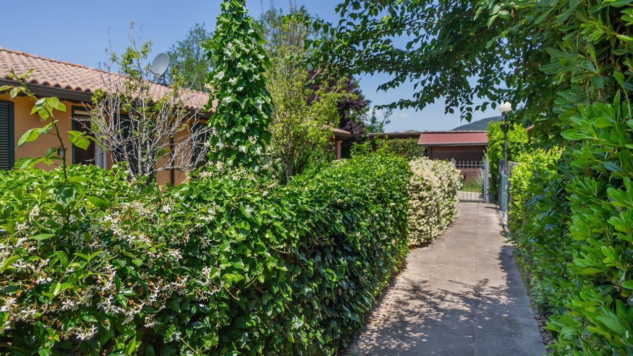 Photo of Outdoor in Castiglione della Pescaia