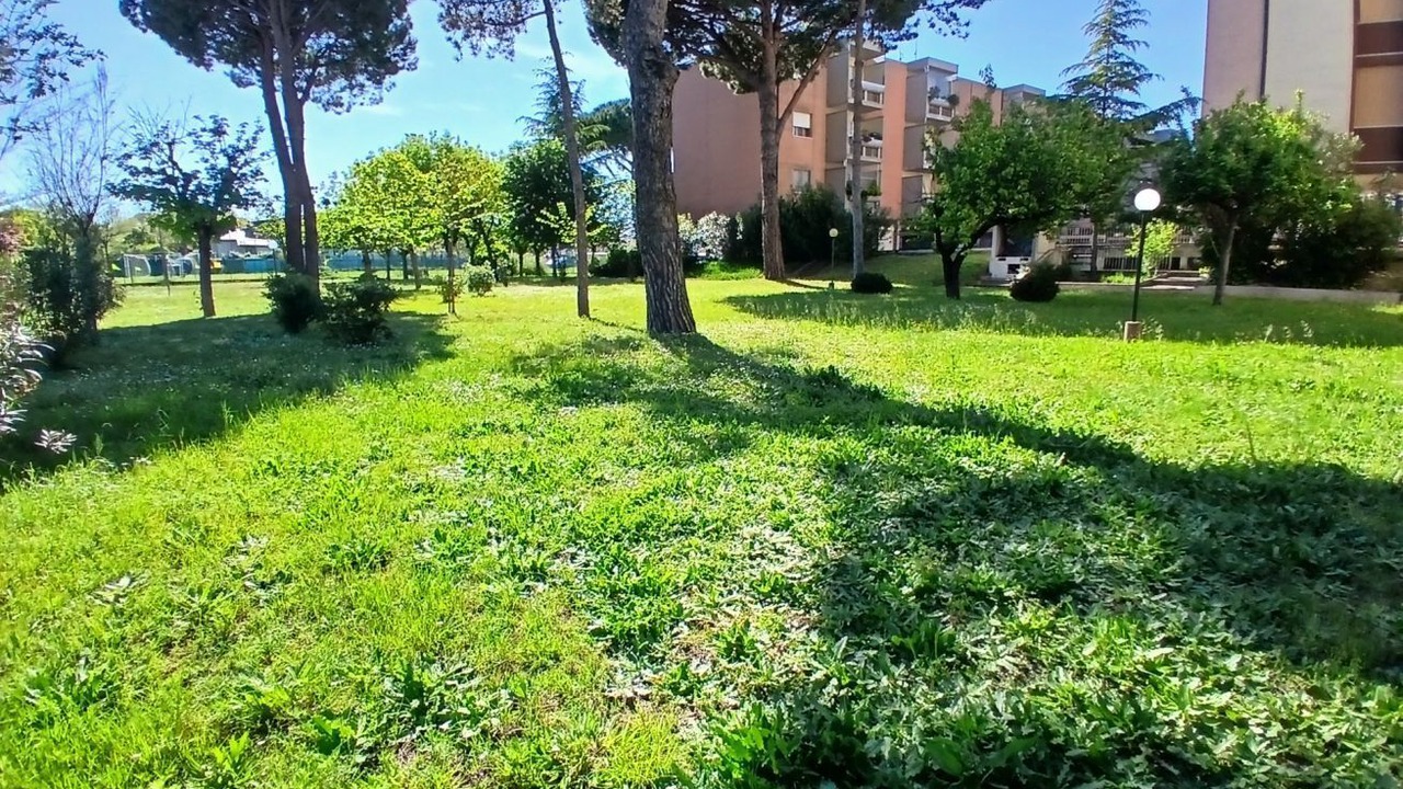 Photo of Outdoor in Cesenatico