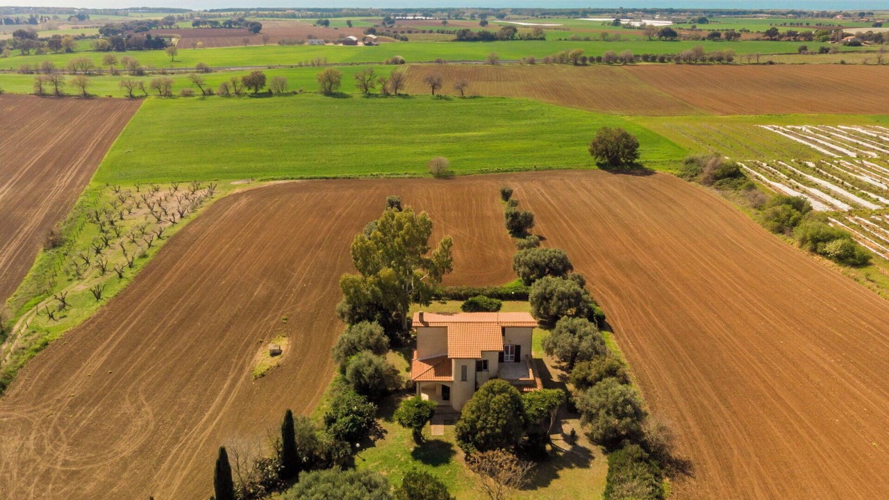 Photo of Others in Tarquinia