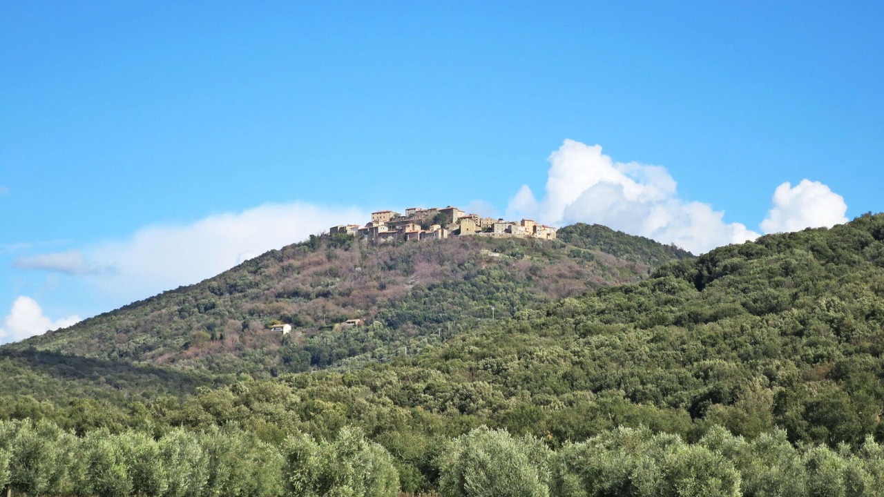 Photo of Others in Montorsaio