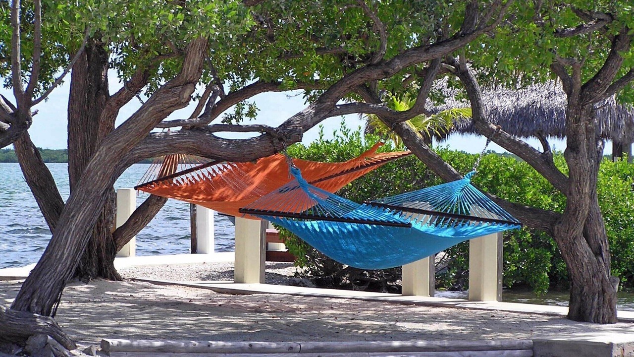 Photo of Outdoor in Little Torch Key