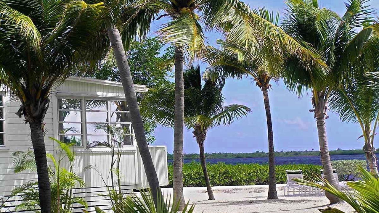 Photo of Outdoor in Little Torch Key