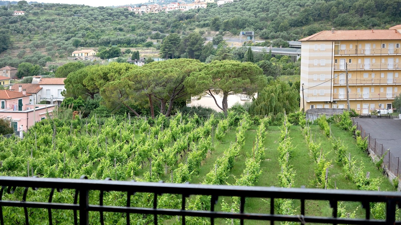 Photo of Outdoor in Diano Castello