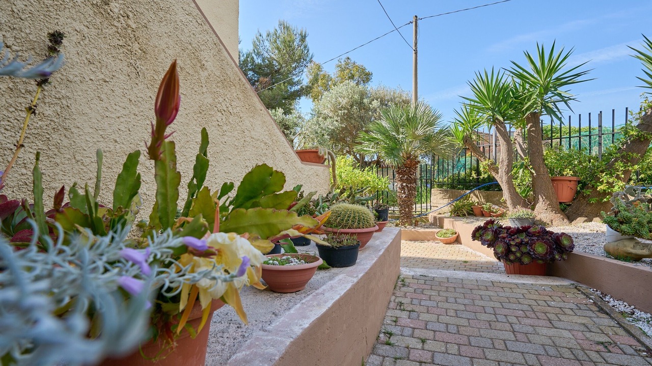 Photo of Outdoor in Piombino